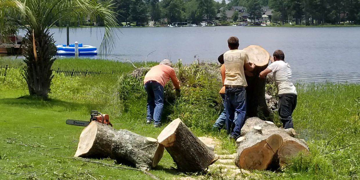 Tree Removal